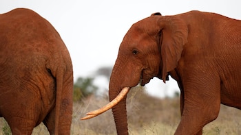 Entre 2012 y 2023, los