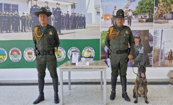 Perro antinarcóticos ayuda a descubrir