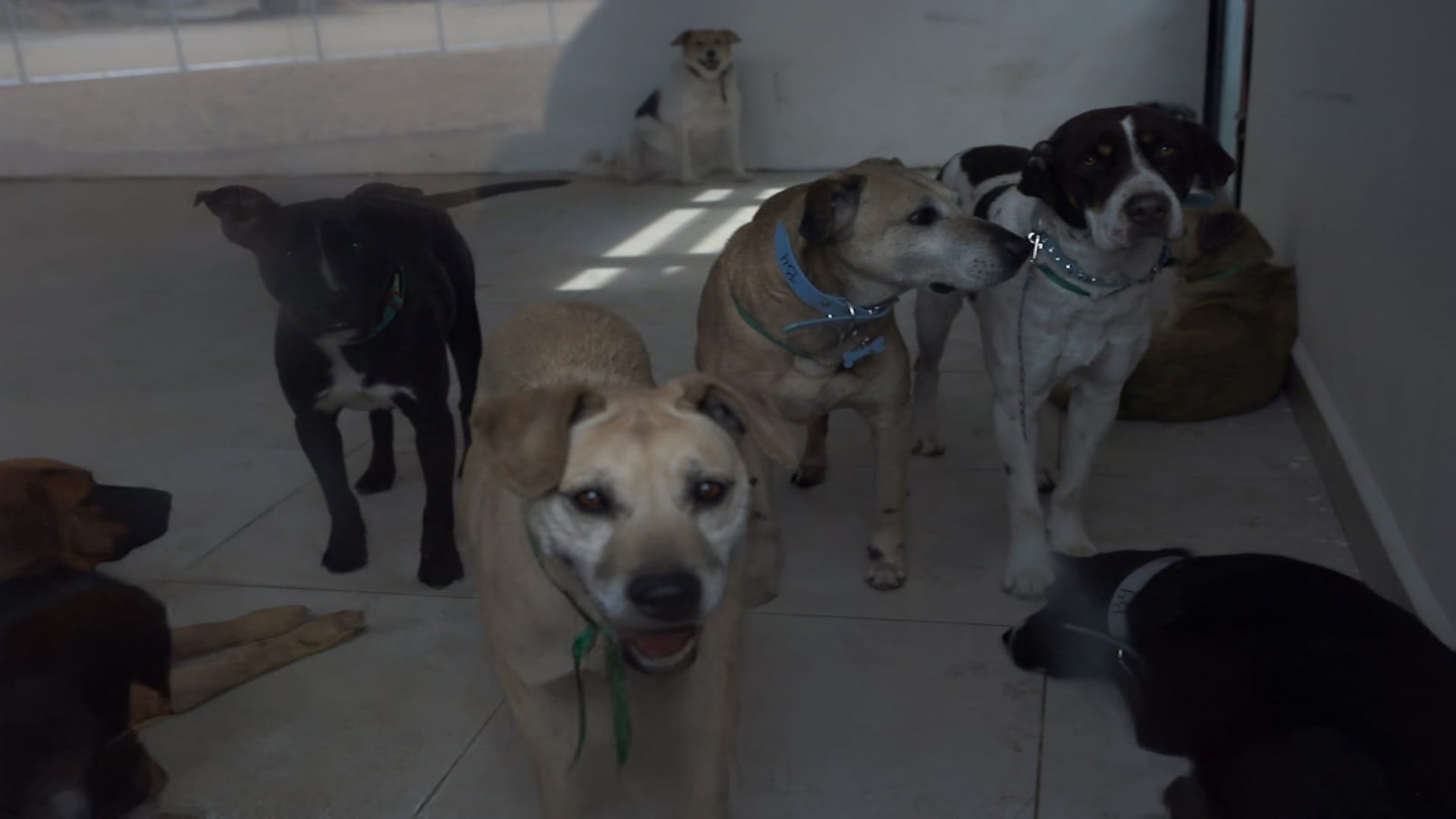 Congresistas llamaron a alcaldía a colaborar con el Gobierno capitalino. Foto: (Archivo)