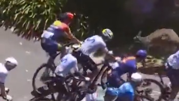 Un canguro provoca la caída