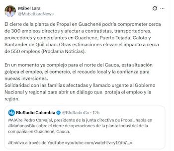 Mabel Lara, secretaria de Turismo de Cali, dijo que la situación "golpea el empleo, el comercio, el recaudo local y la confianza para nuevas inversiones" - crédito @MabelLaraNews/X
