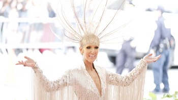 Celine Dion no quiere que