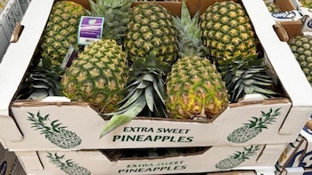 Oferta exportable de la piña panameña se abre mercado en las tiendas canadienses
