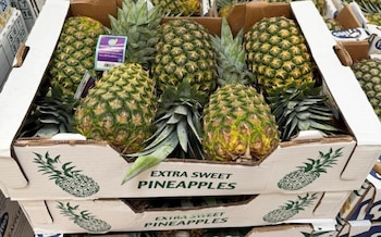 La calidad y dulzura de la piña panameña se posesiona en los mercados de Canadá, Estados Unidos y Europa. (Mici)