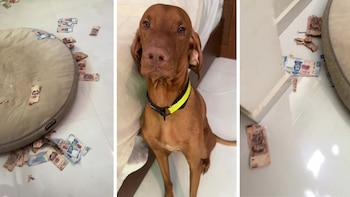 La mujer llegó a su