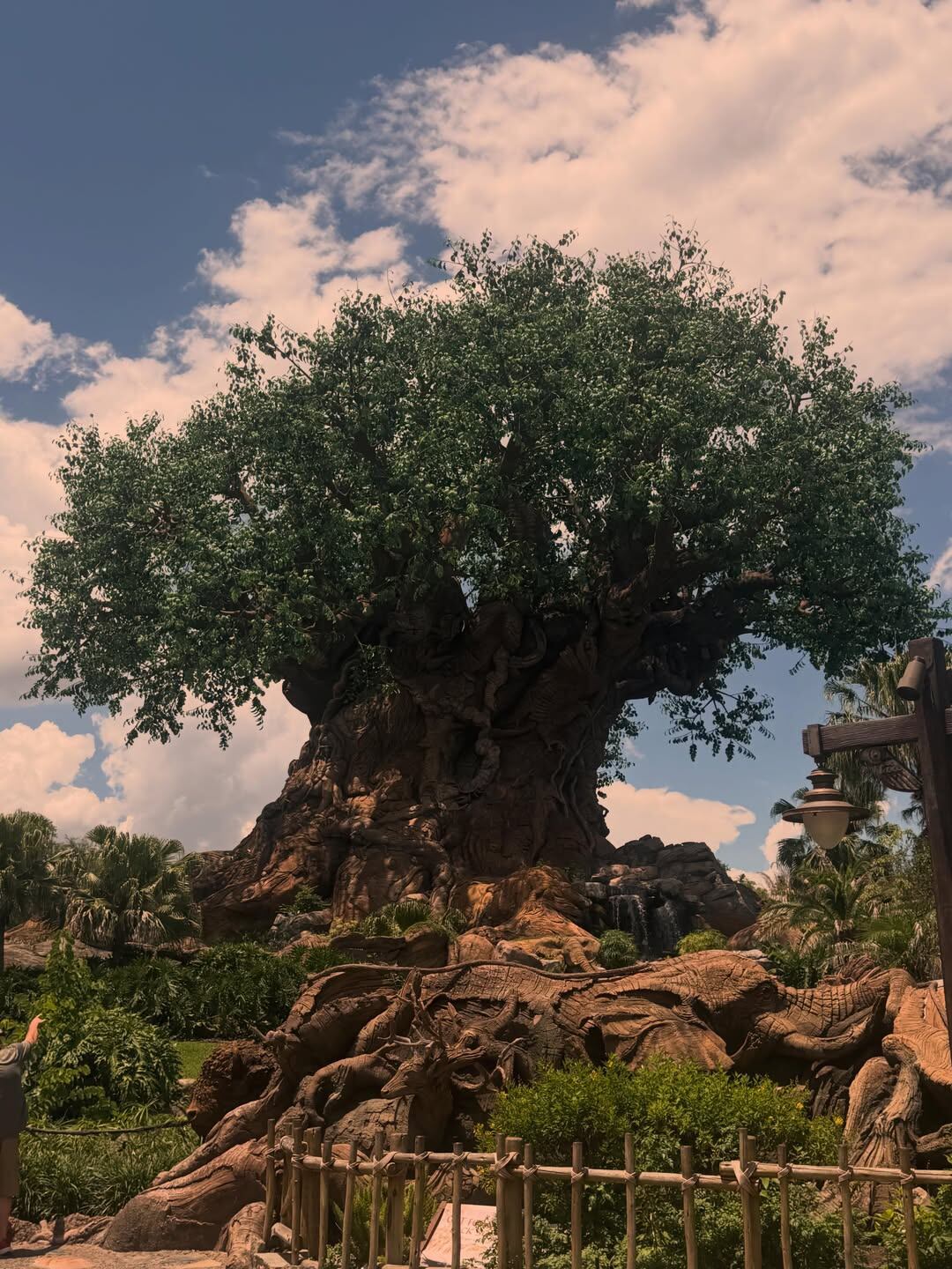 Camila y sus tres hijos también estuvieron en Animal Kingdom