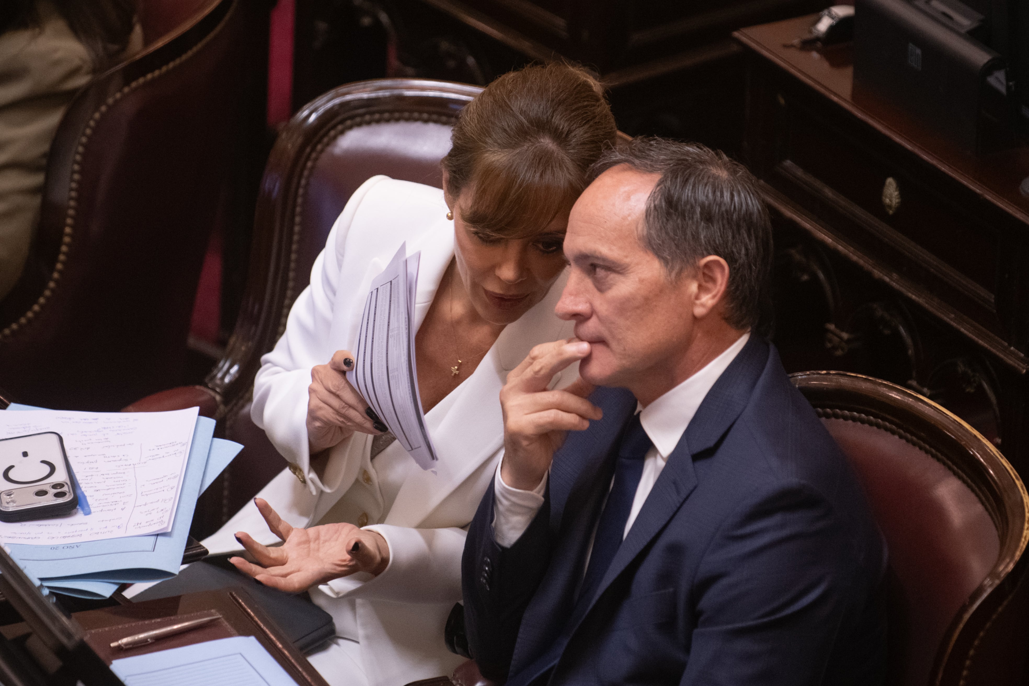 Los peronistas disidentes Flavia Royón y Carlos Espínola (Jaime Olivos)