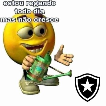 Botafogo nao crece - crédito redes sociales