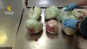 La Guardia Civil incauta 15