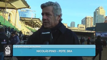 Nicolás Pino, presidente de la