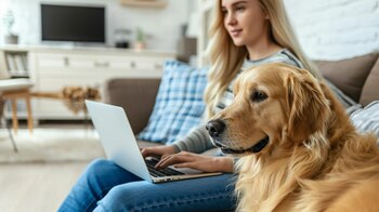 A través de una investigación,