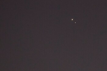 La red cósmica es, según