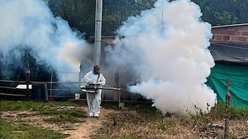 Cundinamarca alertó un posible pico de dengue por altas temperaturas y lluvias ocasionales en 55 municipios