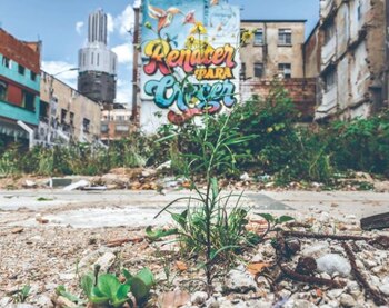 Herbario en el Bronx. Foto: