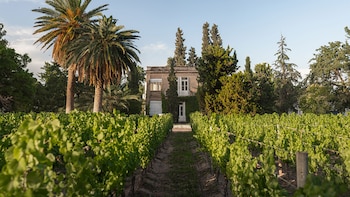 Finca el Paraíso (Crédito: Bodega