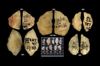 Un equipo de investigadores descubre