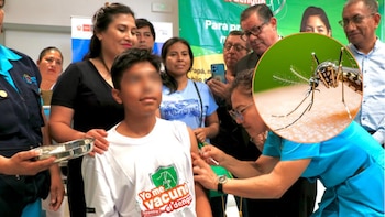 Aedes aegypti es el mosquito