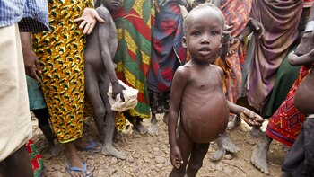 ONU: Más de 48,2 millones