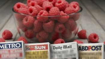 Medios ingleses llaman a Zulma