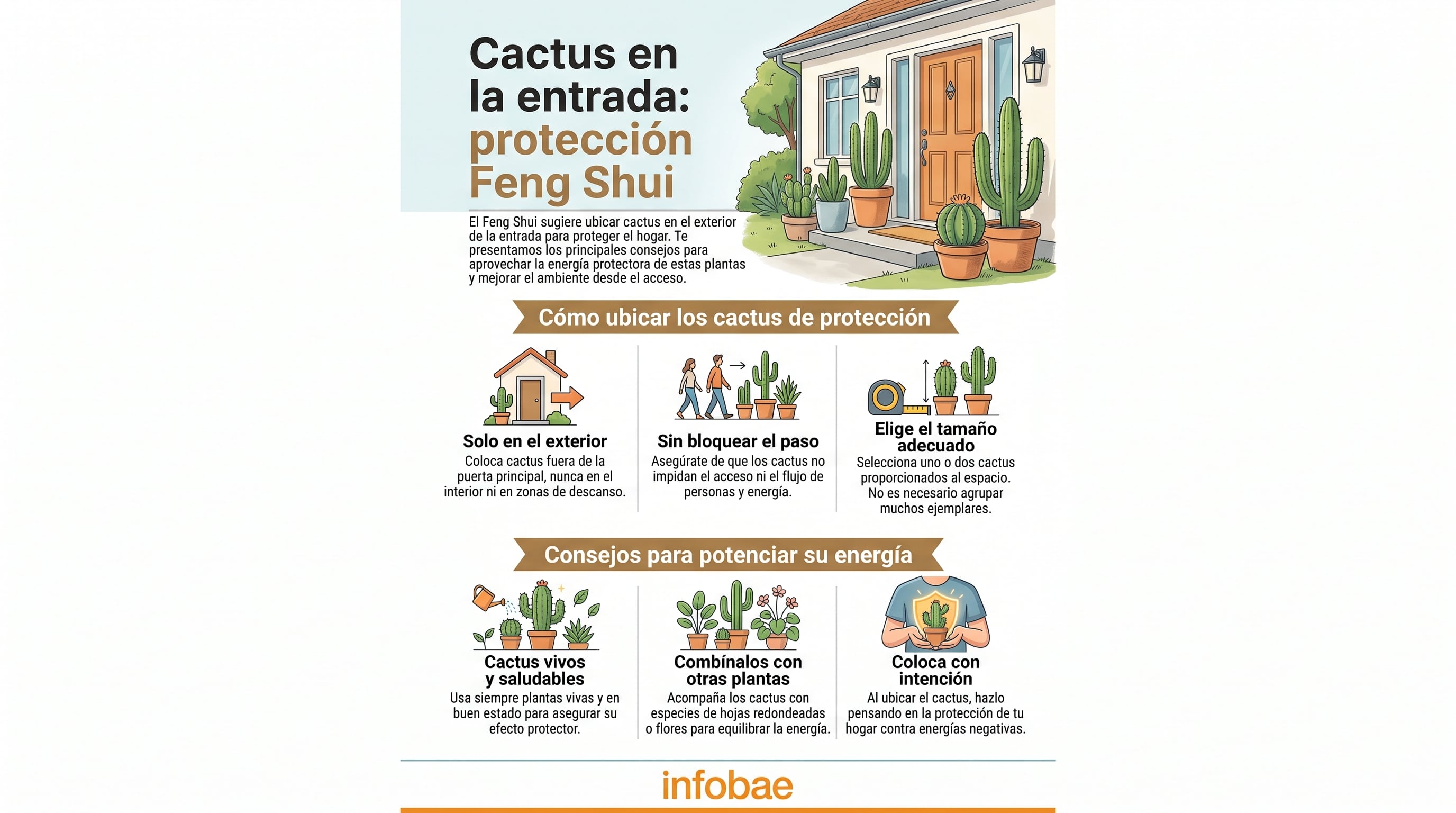 Una infografía de Infobae detalla seis consejos del Feng Shui para colocar cactus protectores en el exterior de la vivienda. (Imagen Ilustrativa Infobae)