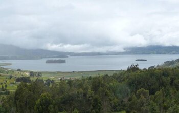 Imagen de archivo de la