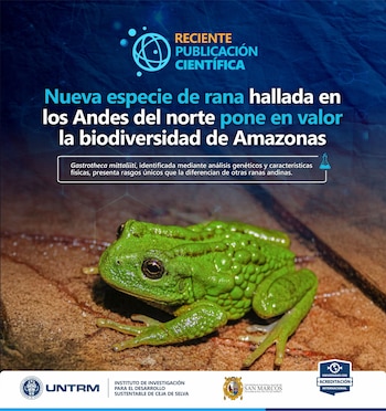 Rana - Selva - Hallazgo - Perú - 31 marzo