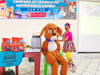 Más de 72 mil canes