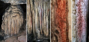 Cueva de Ardales - Paleontolgía - neandertales