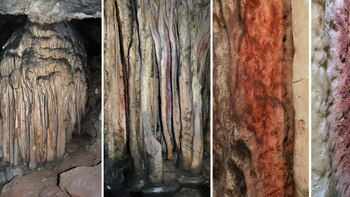 Ni pinturas, ni arte, ni