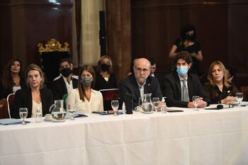 El senador Martín Lousteau