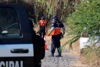 Miembros de distintas corporaciones trabajan este jueves, en la zona donde se hallaron fosas clandestinas, en el municipio de Salvatierra, en el estado de Guanajuato. EFE/STR