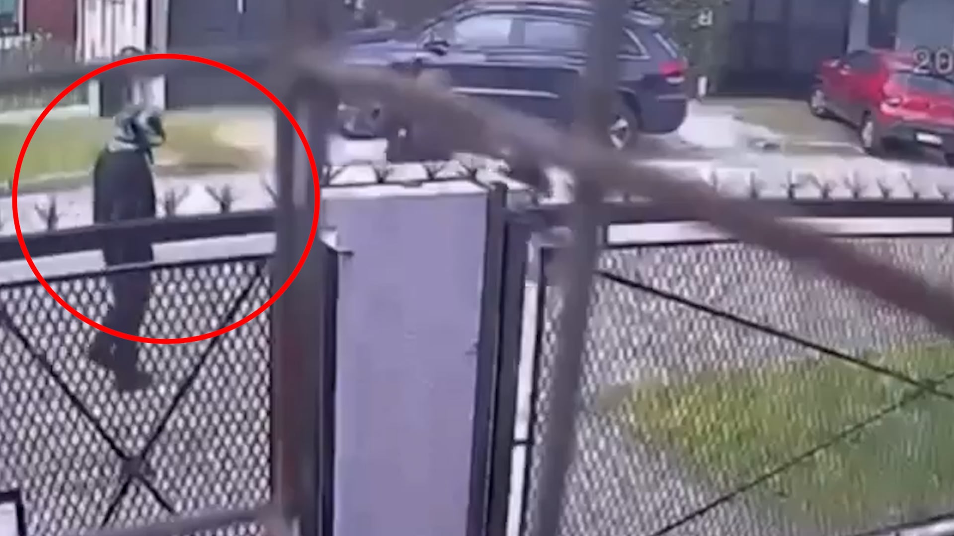 Uno de los asaltantes bajó de la moto y caminó para intentar reducir a la periodista.