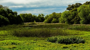 Humedales Caba