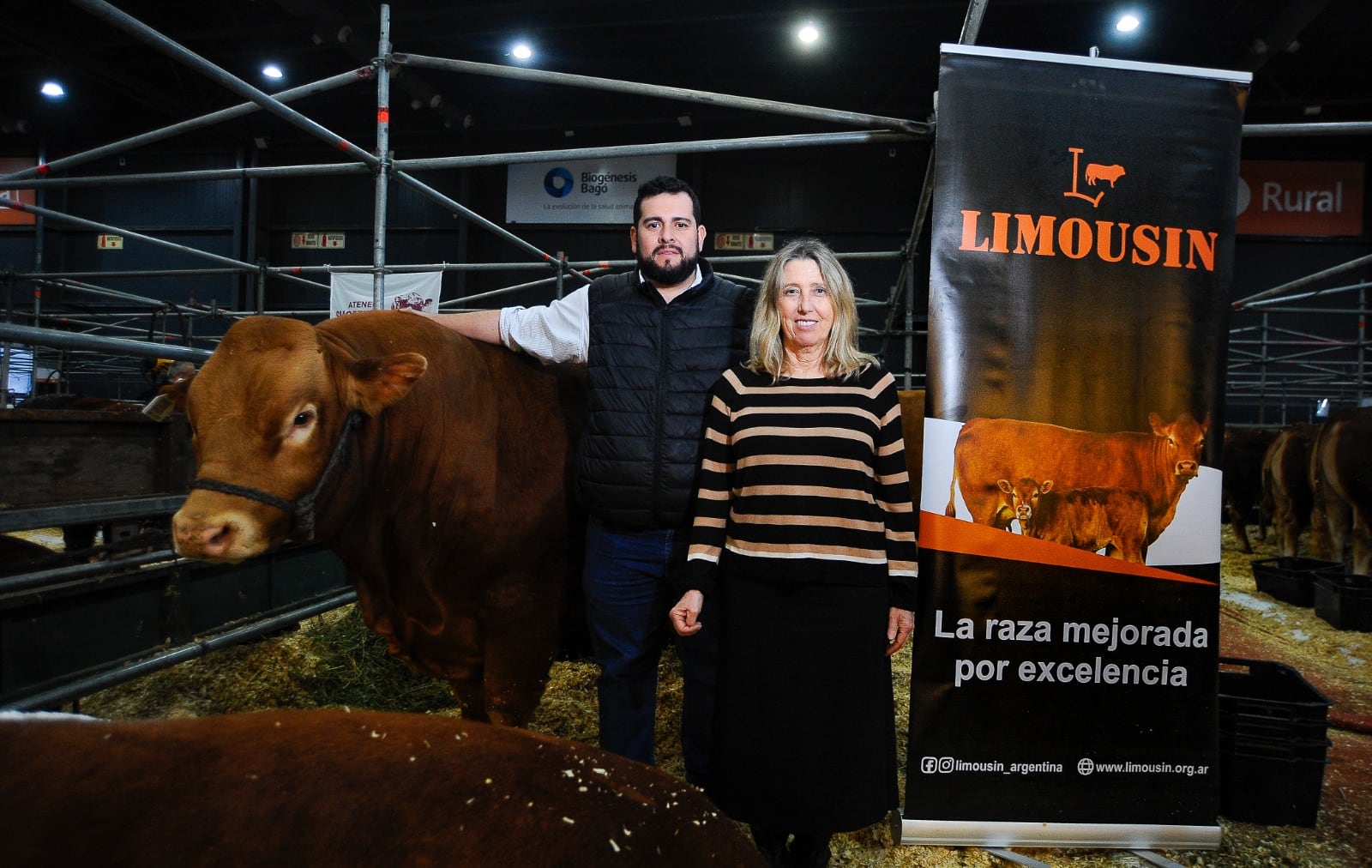 Limousin celebra 60 años con la mirada puesta en el futuro de la ganadería argentina