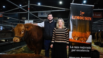 Limousin celebra 60 años con la mirada puesta en el futuro de la ganadería argentina
