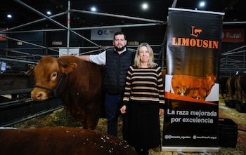En la Expo Rural 2026, la raza Limousin celebró seis décadas de su asociación destacando su aporte para producir más carne con mayor eficiencia
