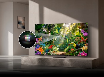 Un televisor de pantalla plana en un mueble, mostrando una selva con tucanes y loros; un círculo magnificado exhibe un espectro de luz
