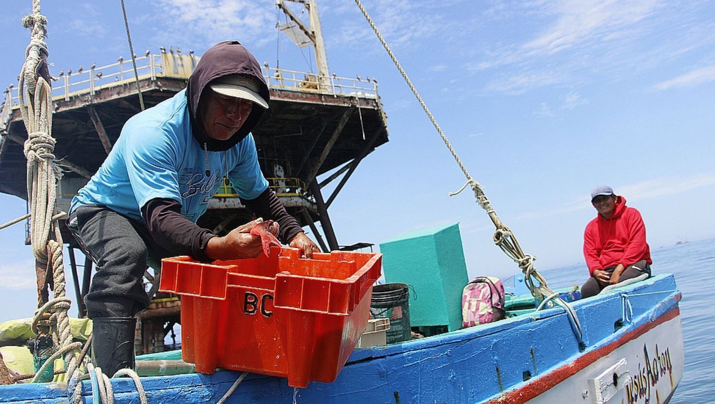 El manejo de los recursos marinos requiere transparencia y evidencia científica como pilares centrales.