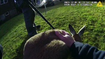 Desde la perspectiva del policía