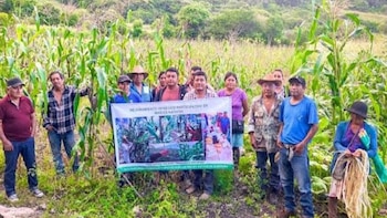 Zona de desastre sequía Guerrero campo