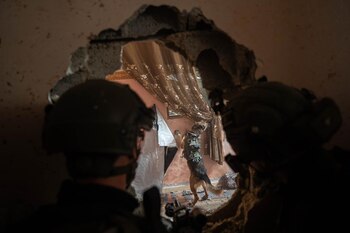 Un perro del ejército israelí