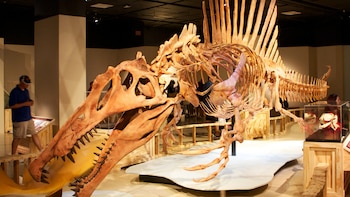 Un estudio demuestra que una especie de dinosaurio necesitaba llorar para cazar a sus presas