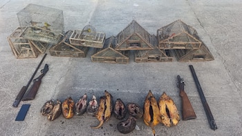 Detuvieron a cuatro hombres por caza ilegal en Córdoba: les encontraron armas, animales silvestres y perros