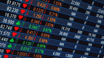 Los verdaderos ‘lobos’ de la