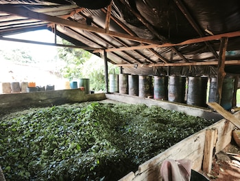 Durante el megaoperativo binacional se