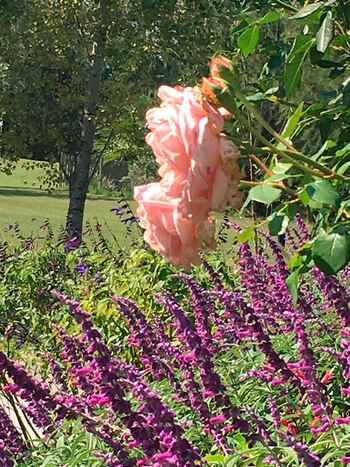 Silvina Culasso reflexionó acerca de
