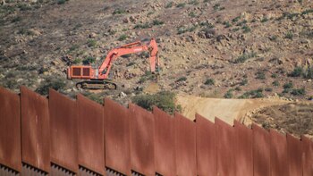 Ciento veinte grupos piden a