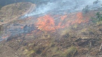 Los brigadistas, bomberos, policías, comuneros