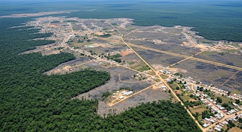 El cambio climático, la deforestación