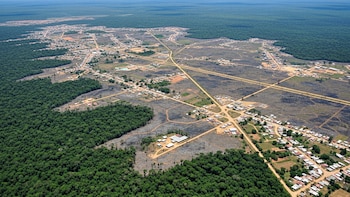 Cómo la urbanización vuelve a